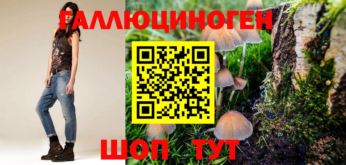 Краснокамск  Псилоцибиновые грибы Cubensis  Вход с VPN  Галлюциногенные грибы Psilocybe 